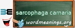 WordMeaning blackboard for sarcophaga carnaria